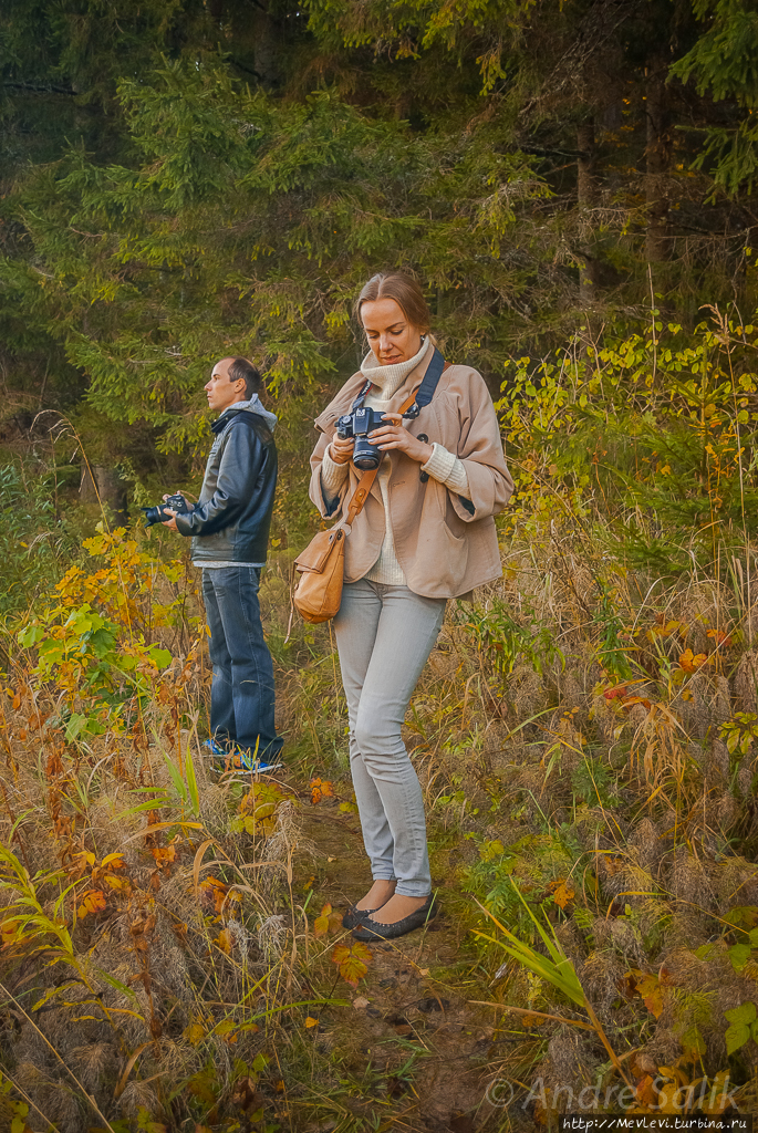 Утесы на реке Гауя Лигатне, Латвия