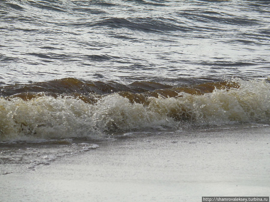 Вдоль берега моря Зеленогорск, Россия