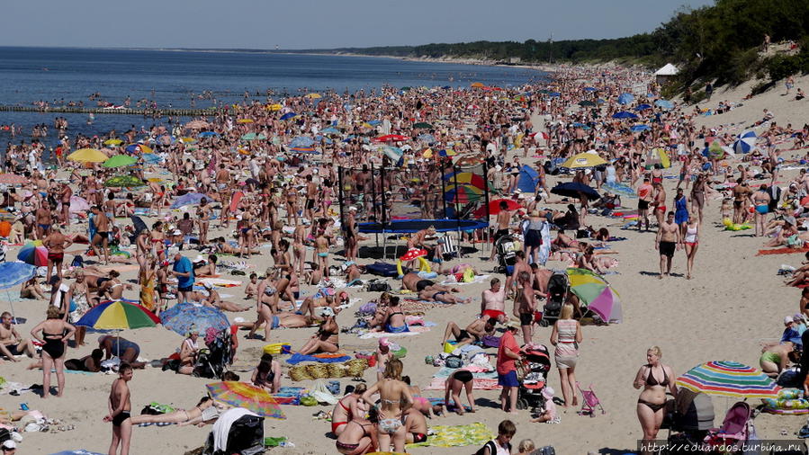 так выглядит местный пляж в разгар сезона Зеленоградск, Россия