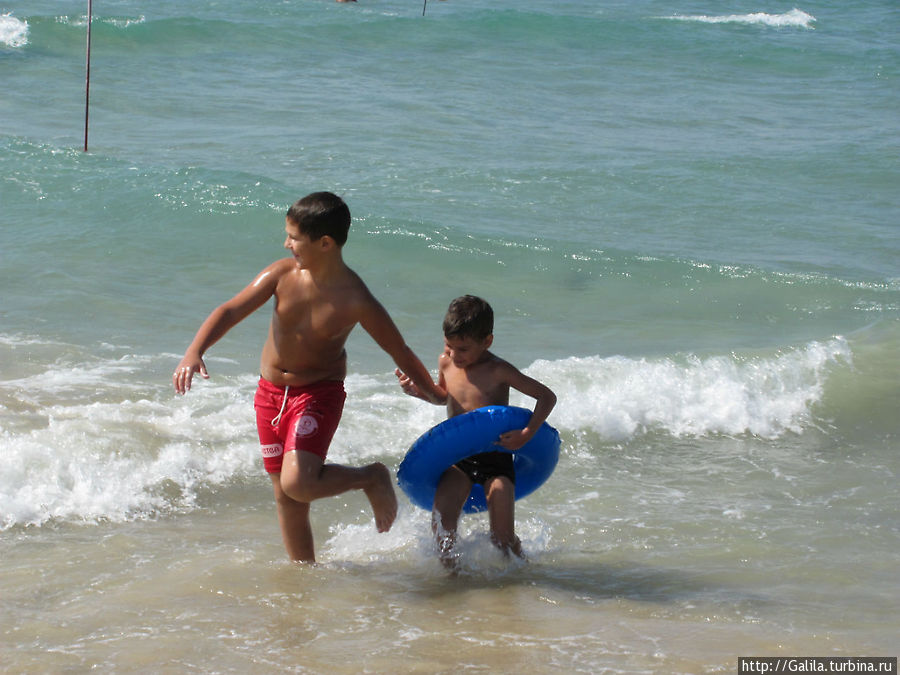 Подводная сказка Ашкелон, Израиль
