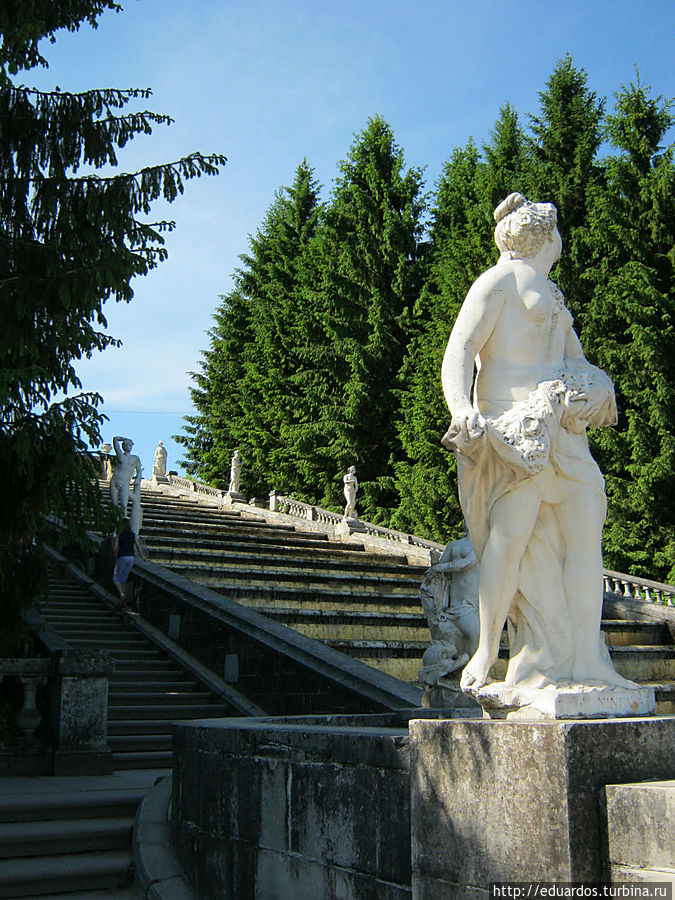 Кто рано встаёт — видит Петергоф вот таким! Петергоф, Россия