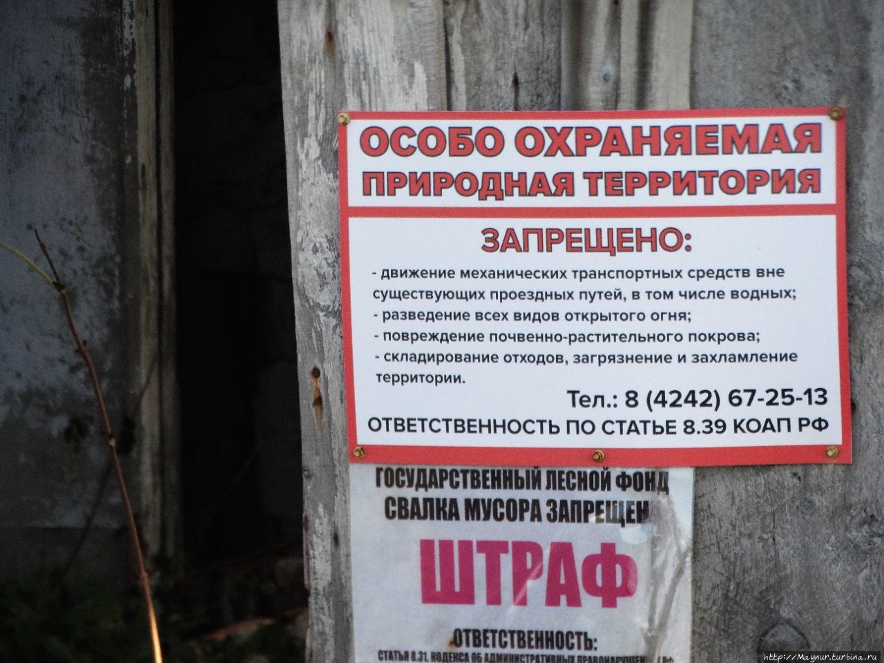 Мыс  Кузнецова. Рай  для  животных и птиц Мыс Кузнецова, Россия