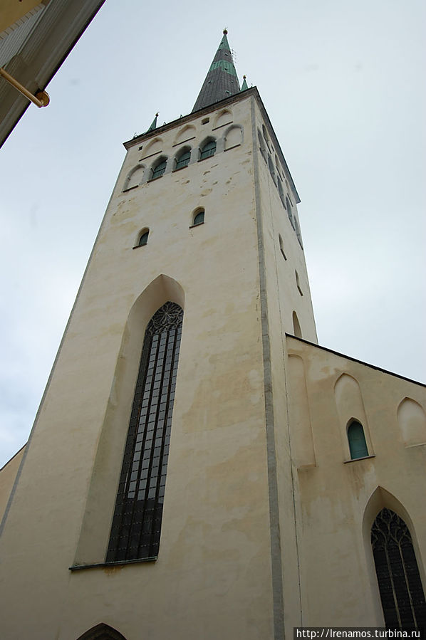 Та самая башня на которую пришлось подняться Таллин, Эстония