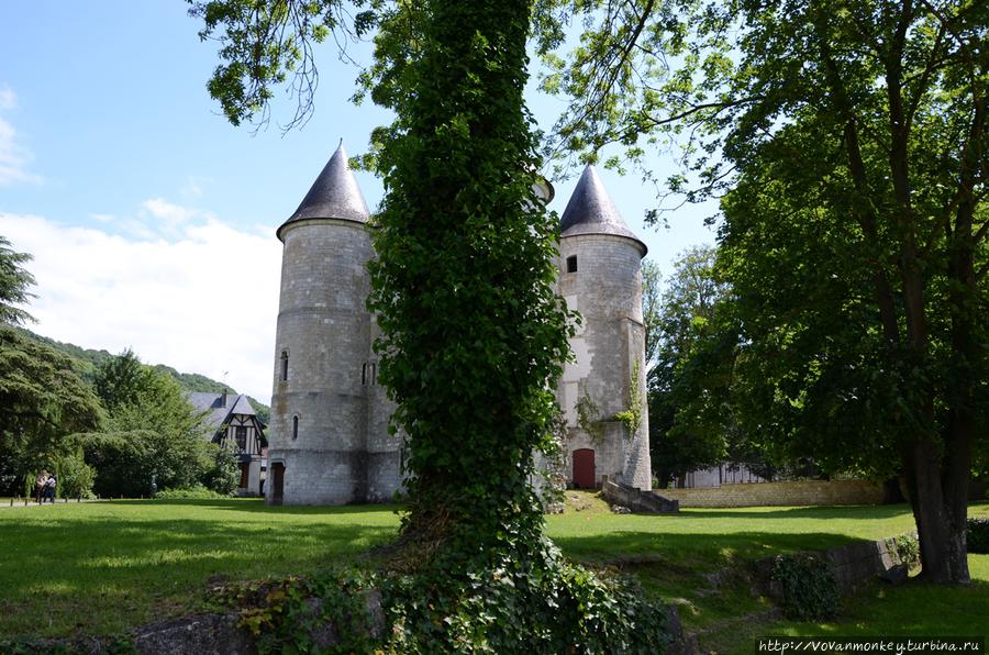 Вернон вечнозелёный Вернон, Франция