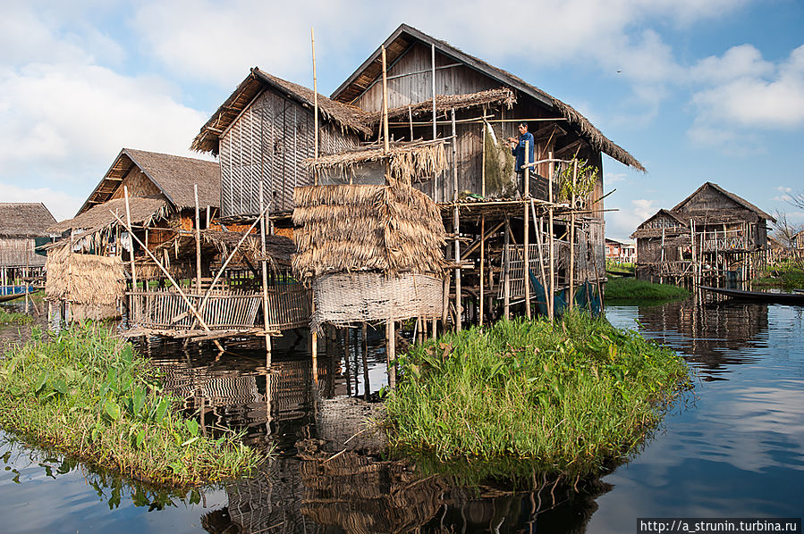 На озере Инле Озеро Инле, Мьянма