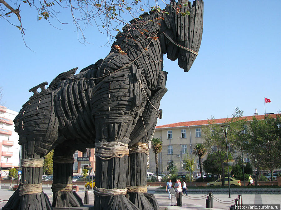 А это Конь Трояно-Чанакалийский Восточная Анатолия, Турция