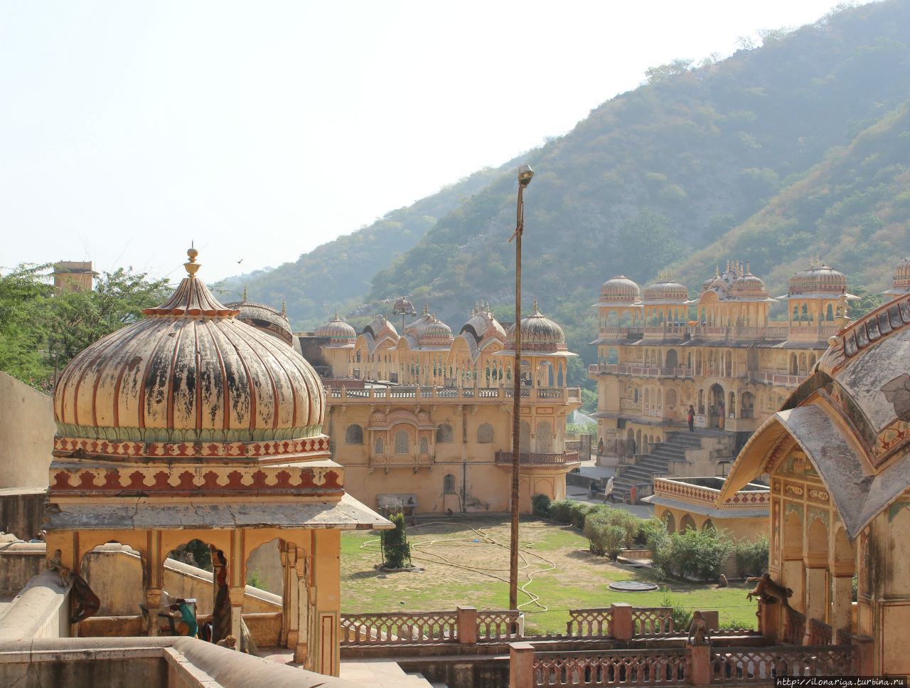 Дворец, где балом правят обезьяны Джайпур, Индия