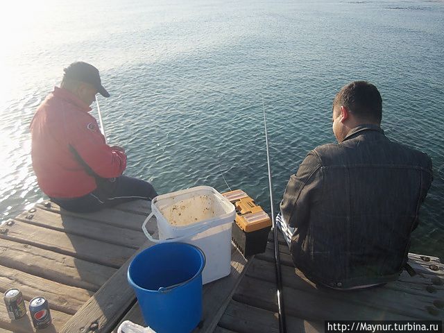 Ночевали мы на берегу моря , почти у кромки воды. Неизвестно откуда взявшиеся джипы в темноте чудом не задели нас. Утром я сняла этих неудачливых рыбаков. Несмотря  на отсутствие улова, настроение у них было прекрасное. Кипр