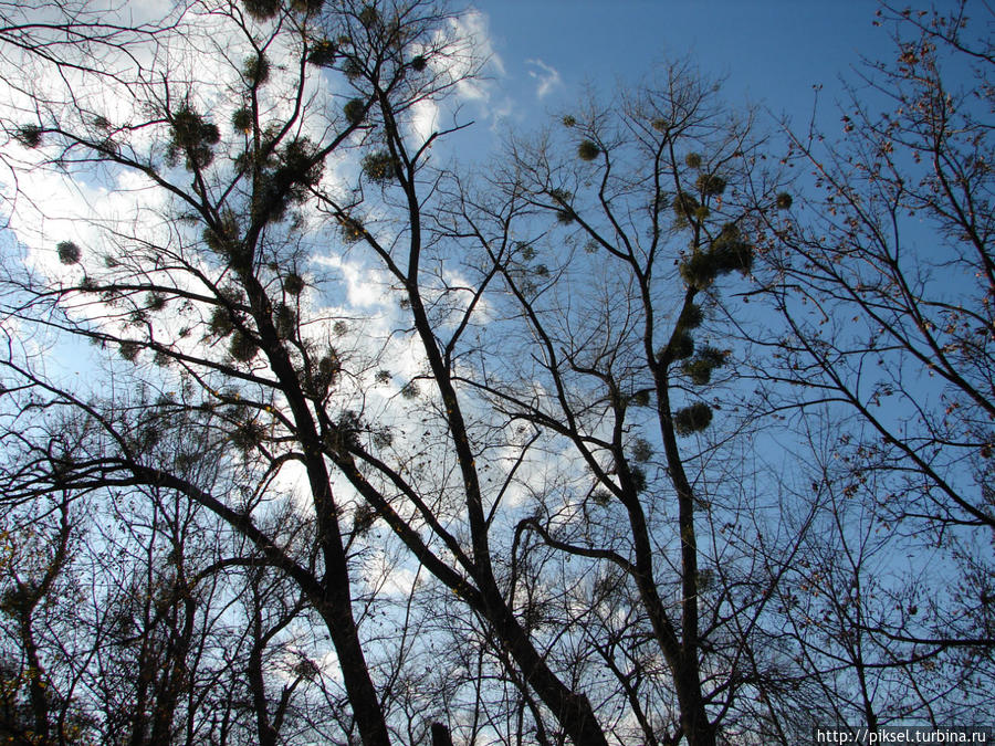 Осенняя медитация Киев, Украина