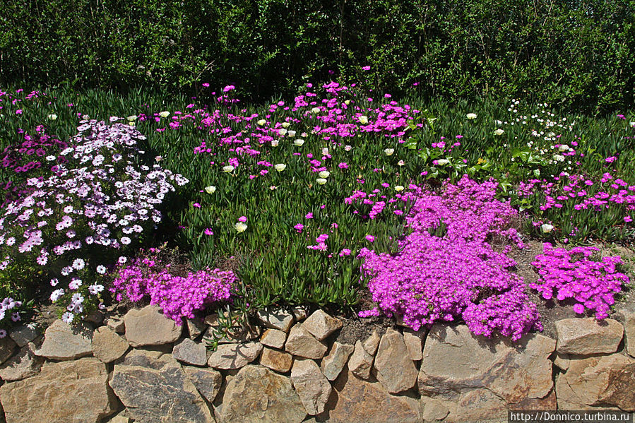 Весенний бранч на нашем дворе Каталония, Испания