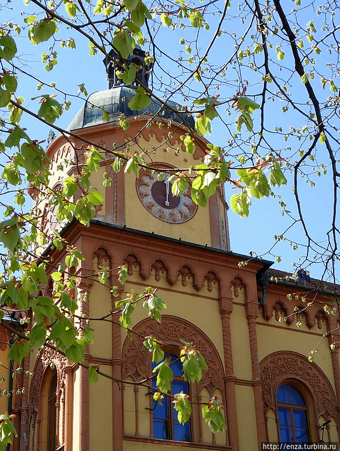 Весна в деревне Сремски-Карловци, Сербия