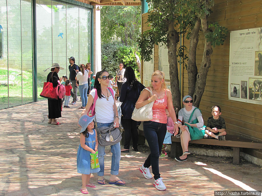 Библейский зоопарк Иерусалима. Иерусалим, Израиль