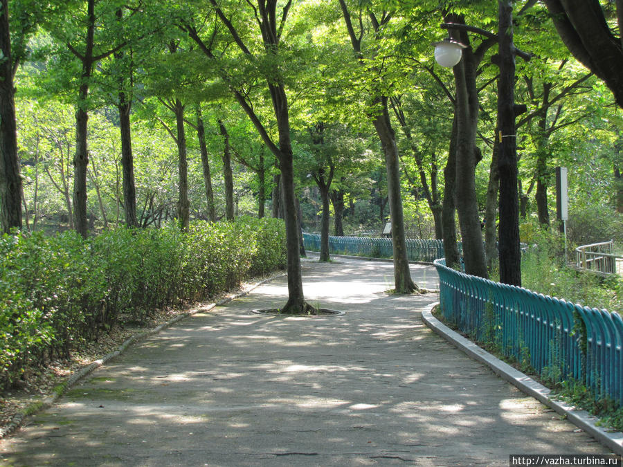 Зоопарк Сеула. Первая часть. Сеул, Республика Корея