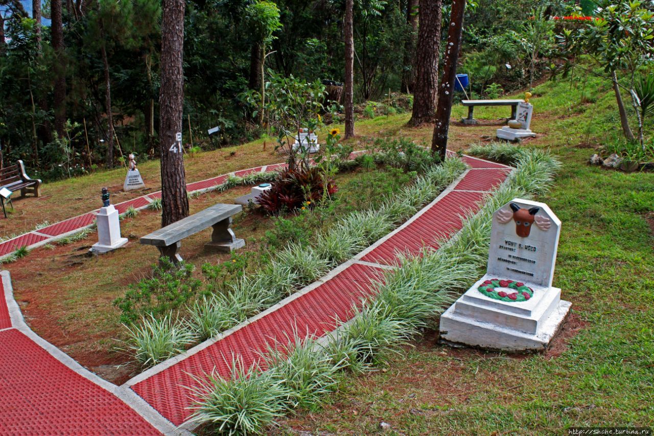 Утраченное кладбище негативизма Багио, Филиппины
