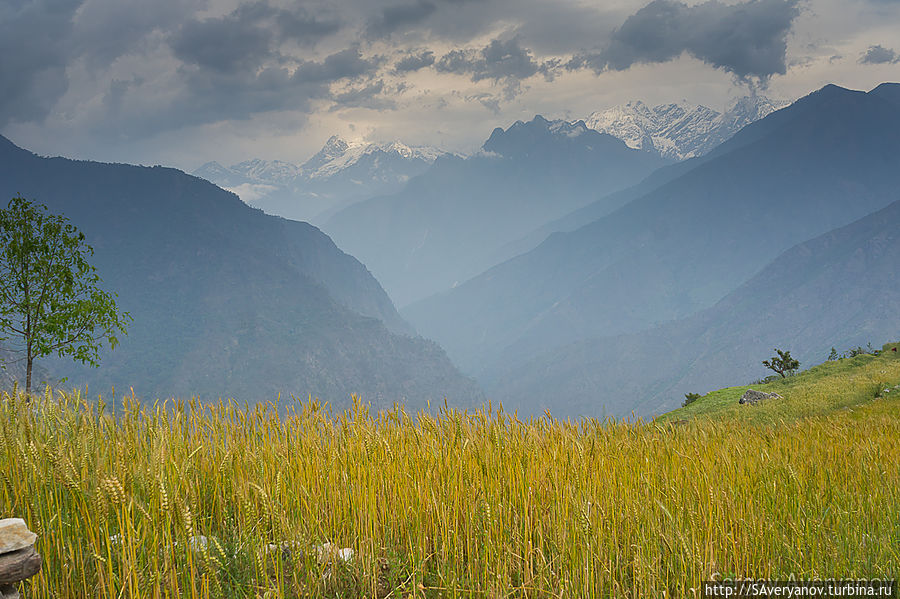 Поля в окрестностях Кхола Бенши Непал