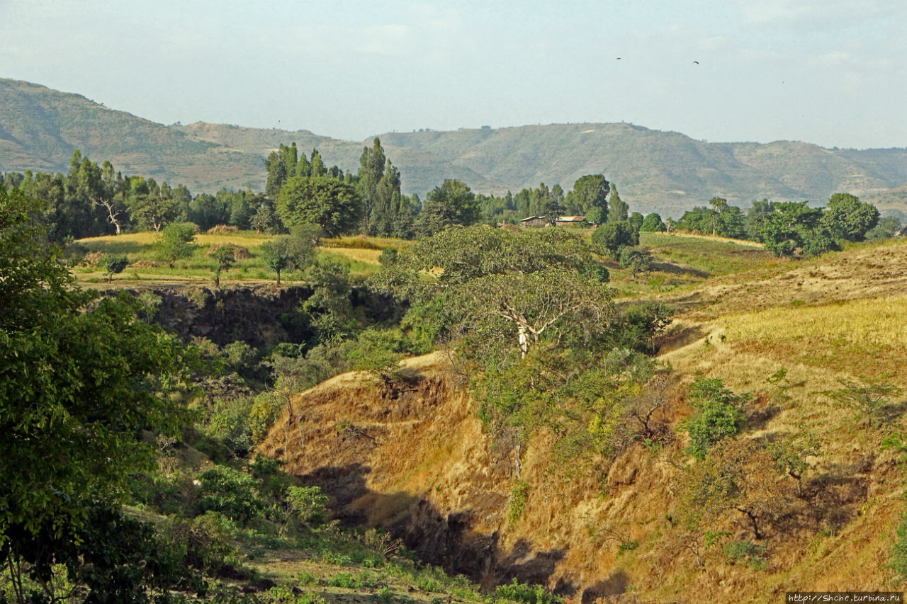 Водопады Голубого Нила. И не так уж плохо Тисс-Абай (водопады Голубого Нила), Эфиопия
