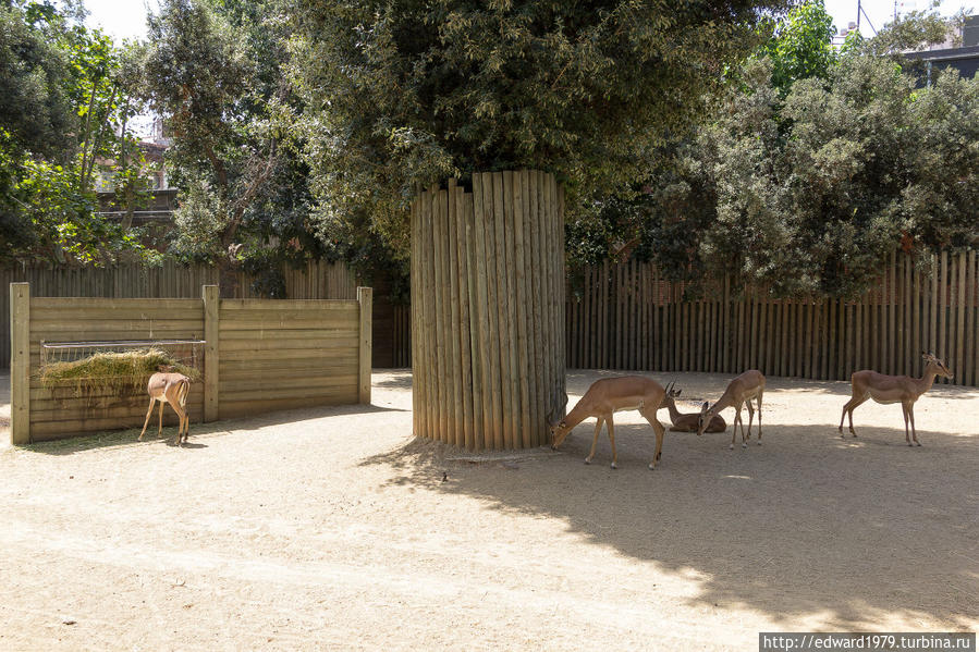 Зоопарк Барселоны Барселона, Испания