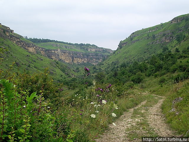 река Березовка Кисловодск, Россия