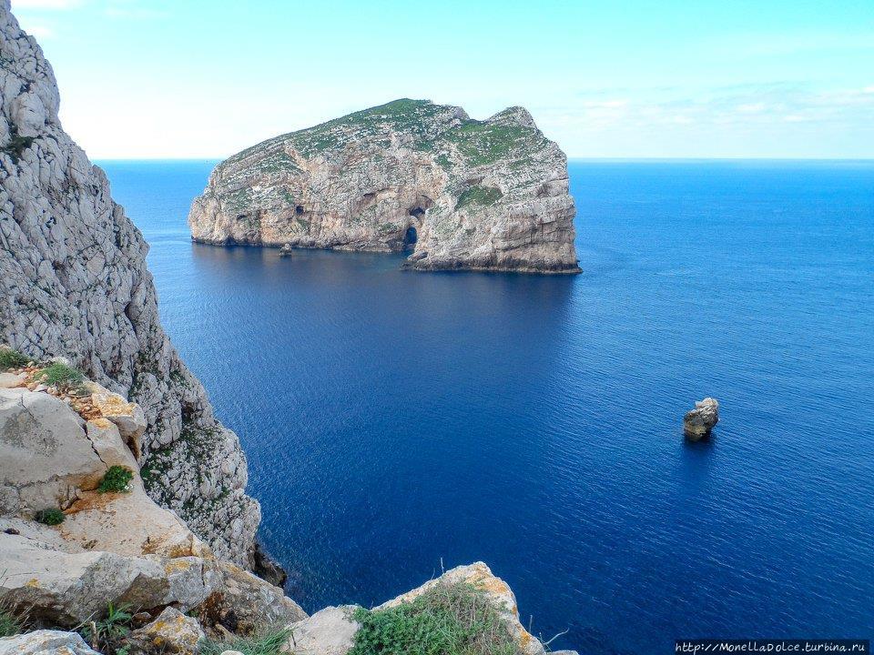 Sardegna полуостров Капо ди Каччиа Альгеро, Италия