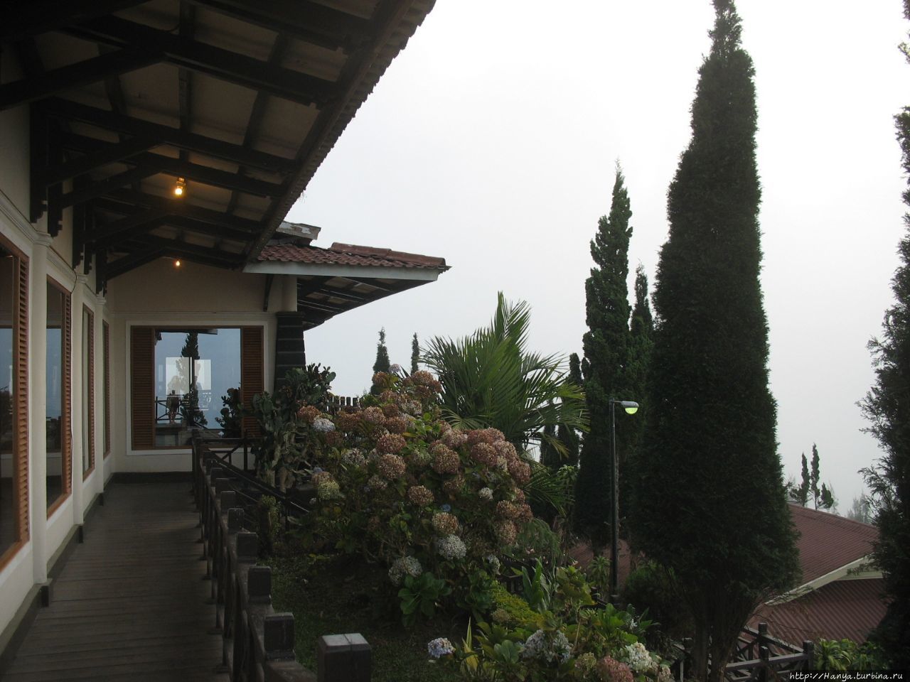 Отель Bromo Cottage Пасуруан, Индонезия