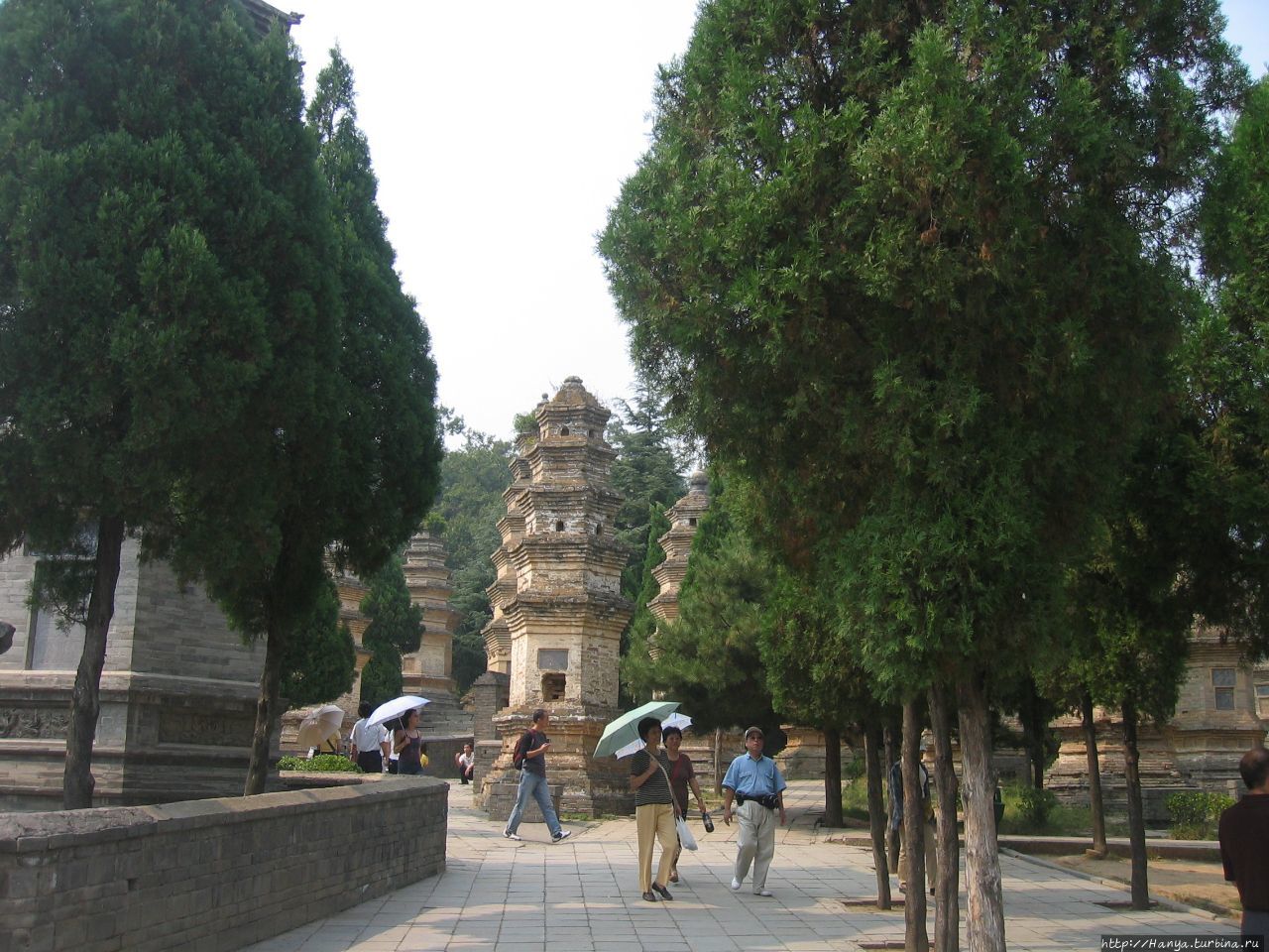 Шаолиньский монастырь. Лес Пагод Та Линь. 200 пагод над захоронениями  шаолиньских монахов Шаолинь, Китай