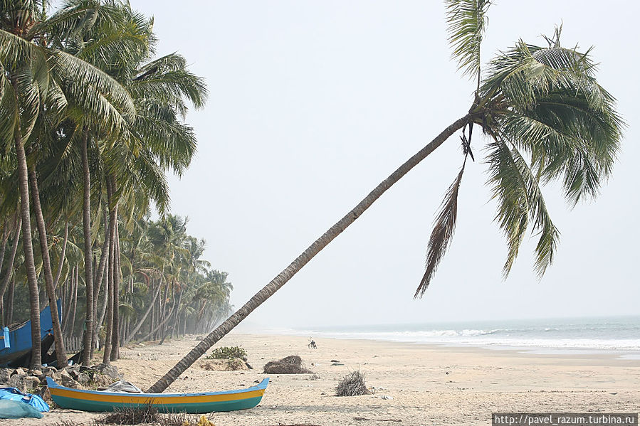 Индийский Океан, штат Керала — бескрайние дикие пляжи Триссур, Индия