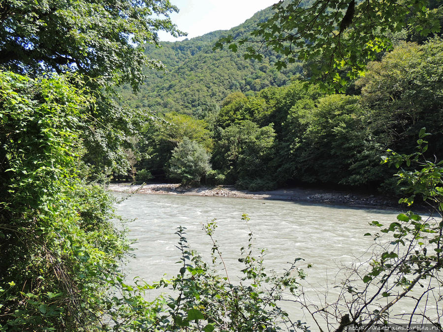 Горная река Юпшара. Рица Реликтовый Национальный Парк, Абхазия