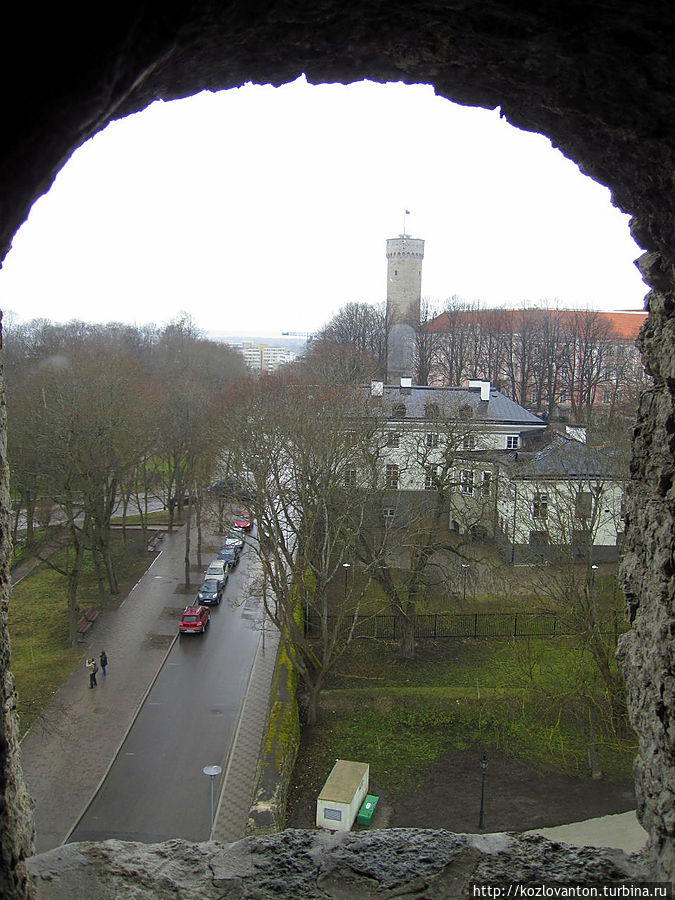 Вдали возвышается башня Высокий Герман, которая ничуть не выше КИК ИН ДЕ КЁКА. Таллин, Эстония