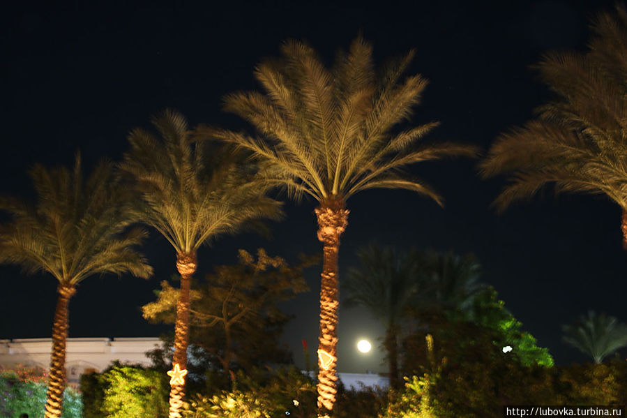 Полнолуние. Фото удалось Не очень...но воспоминания этого вечера остались на Всю жизнь... :) Шарм-Эль-Шейх, Египет