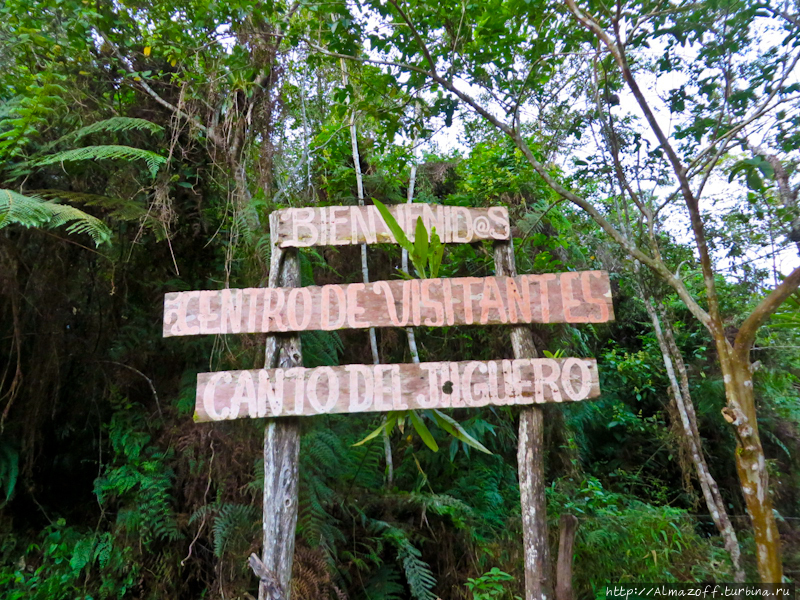 Карибский дневник. Эко-туризм в горах. Барахона, Доминиканская Республика