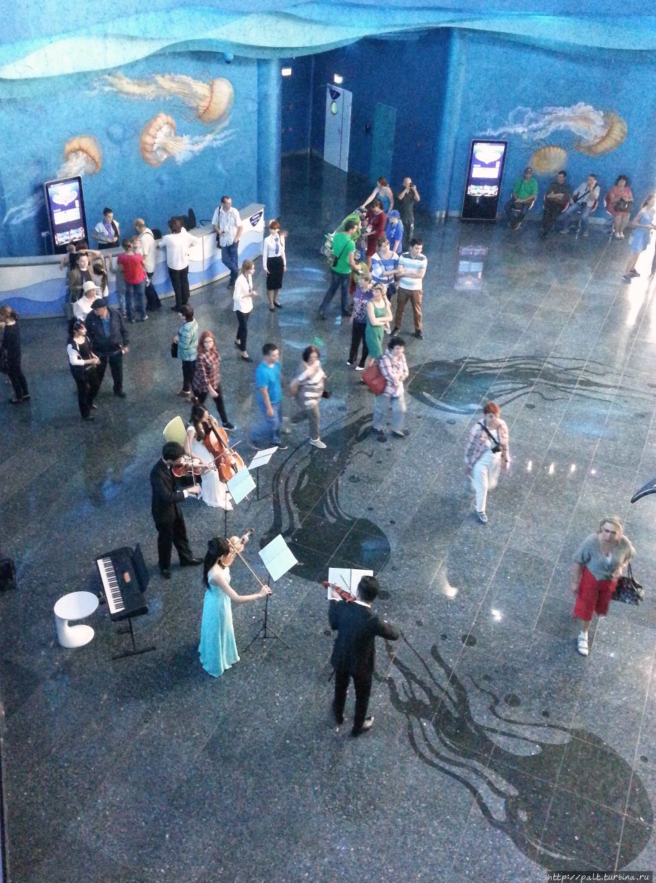 В фойе в день открытия играла живая музыка. Владивосток, Россия