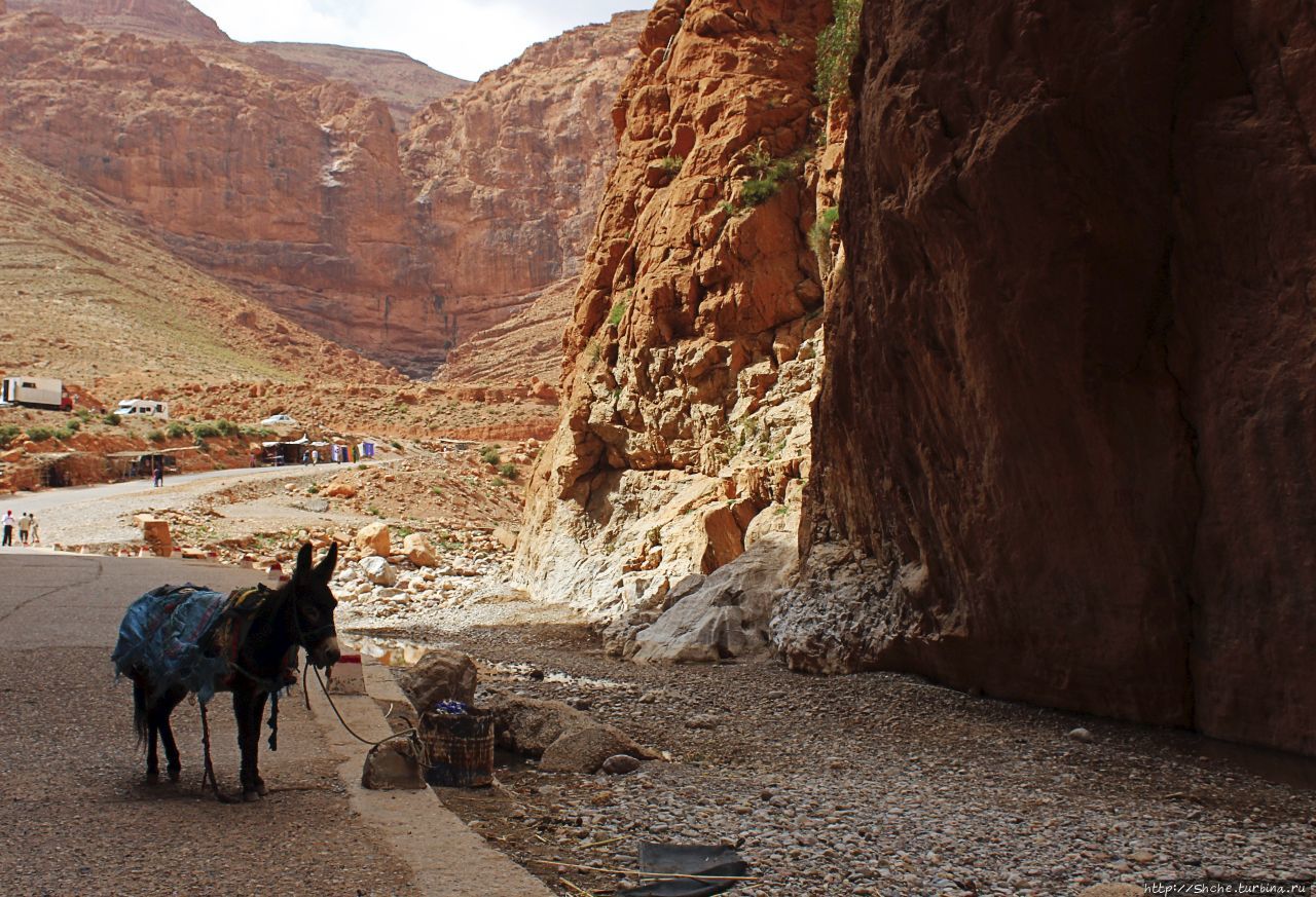 Ущелье Тодра Ущелье Тодра, Марокко