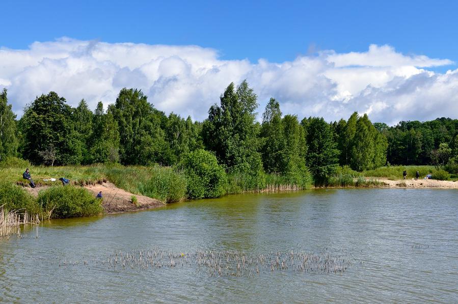 На озере Беловежская Пуща Национальный Парк, Беларусь