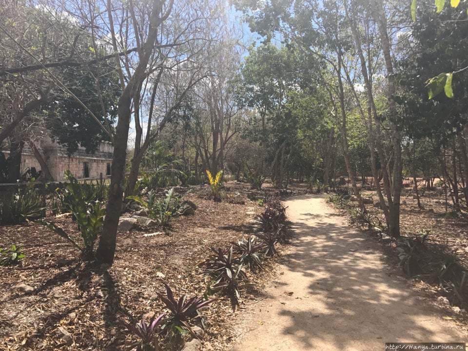 Из интернета