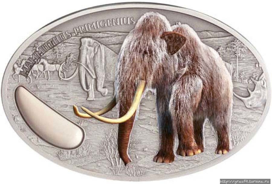 (Из Интернета)