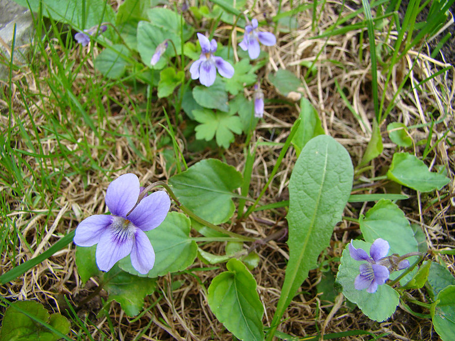 Девочки! Весна! Москва, Россия