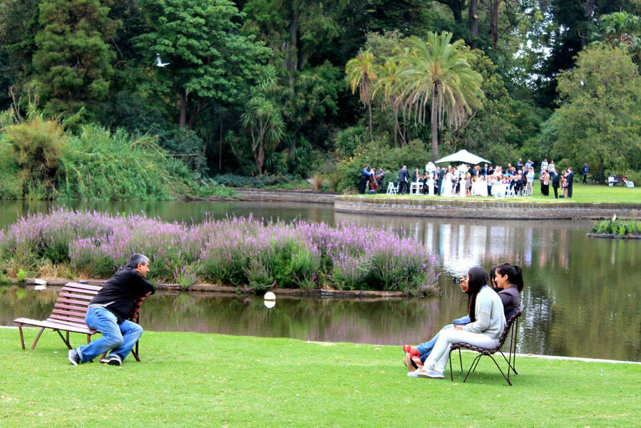 Королевский Ботанический Сад / Royal Botanic Gardens