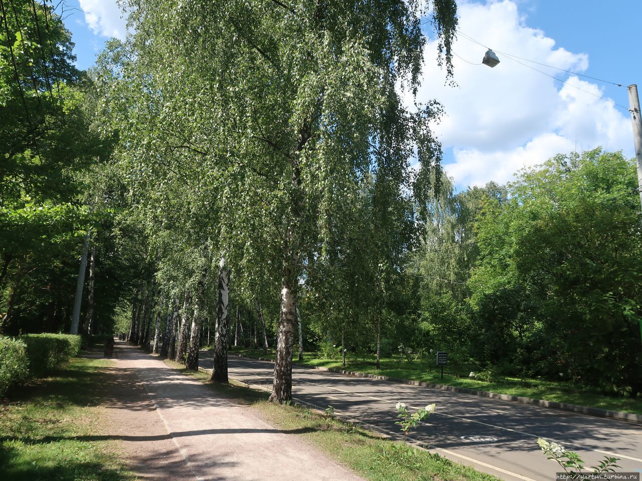 Достаточно найти тенистую аллею в парке и отдохнуть со стаканом кофе. Москва, Россия