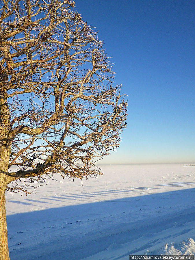 Внеземное ощущение Петергоф, Россия