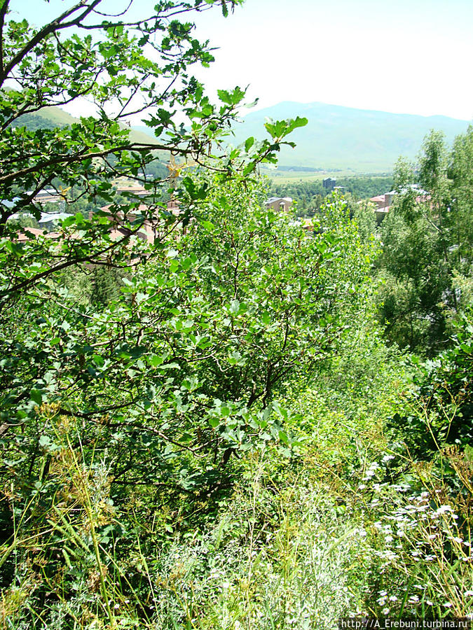 Статуя горного козла Джермук, Армения