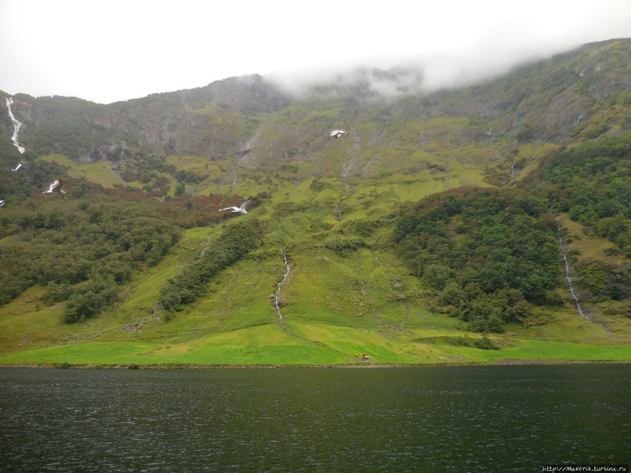 Неройфьорд - круиз по самому узкому в мире фьорду