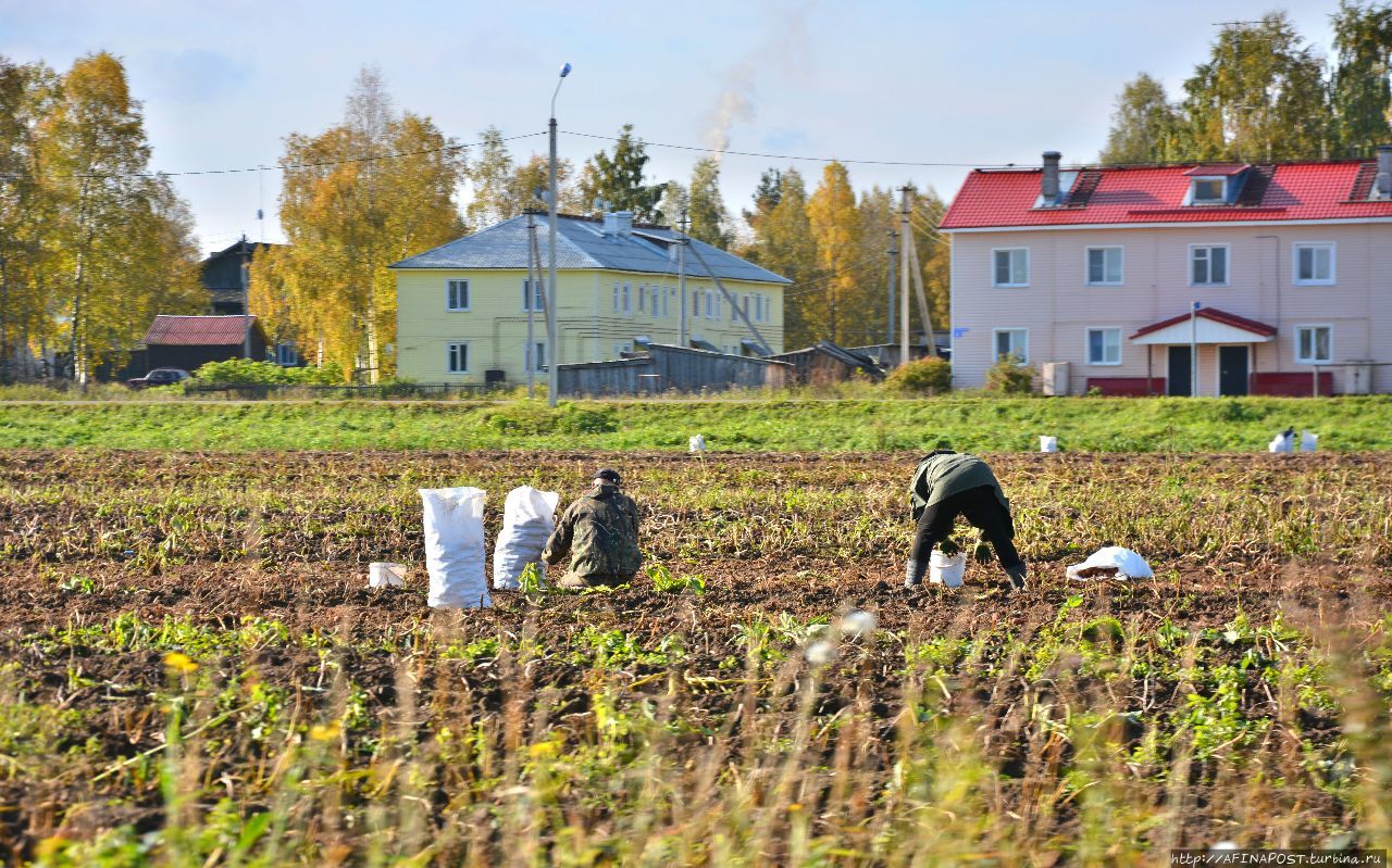 Холмогоры центр Холмогоры, Россия