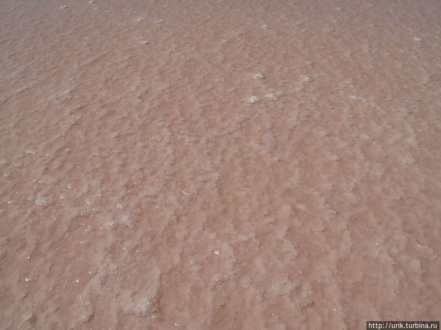 Вода имеет розово-красный оттенок — необычайное зрелище. Эльтон, Россия
