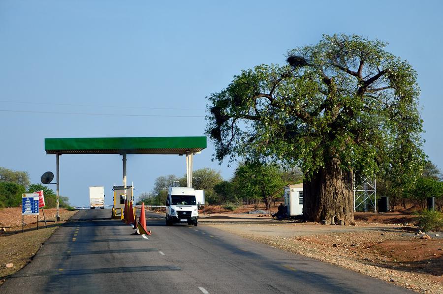 Те самые ворота и тот самый баобаб Булавайо, Зимбабве