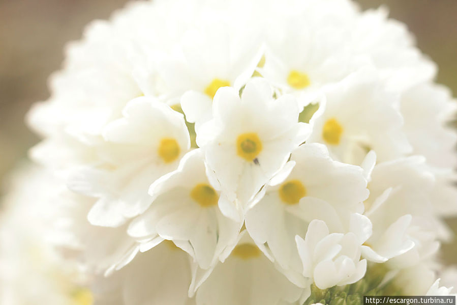 Краски апреля Беларусь