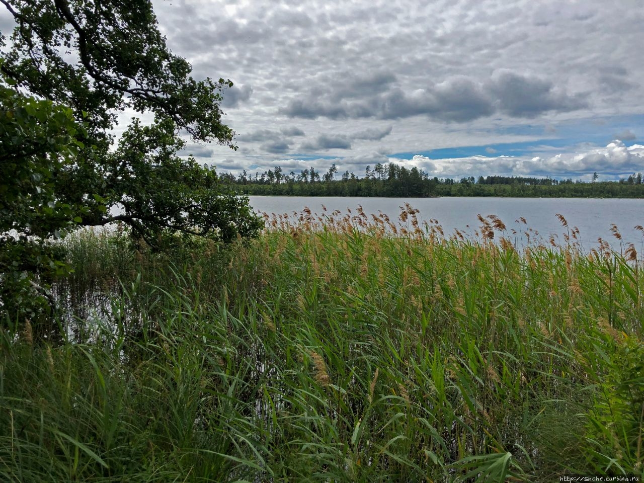 Озеро Бергквара Бергквара, Швеция