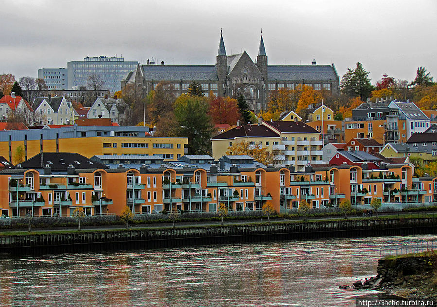 правый берег за мостом, вверху университет Тронхейма
