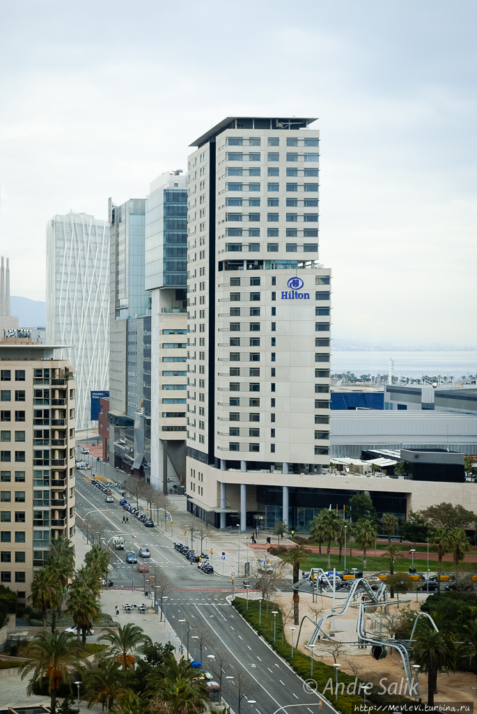 Зимняя Барселона Барселона, Испания