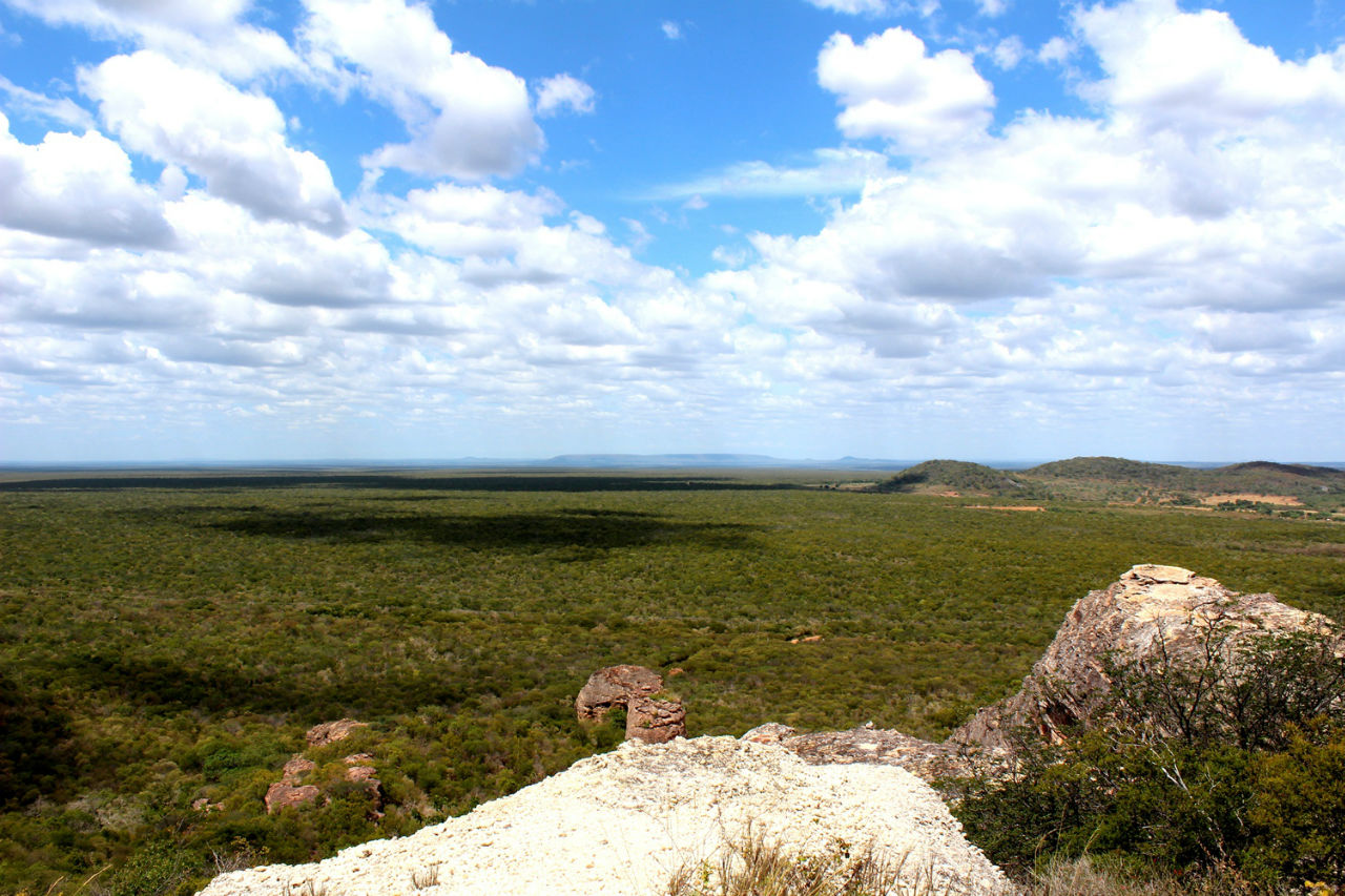 Смотровая площадка над Pedra Furada — вид на окрестные равнины Серра-да-Капивара Национальный Парк, Бразилия