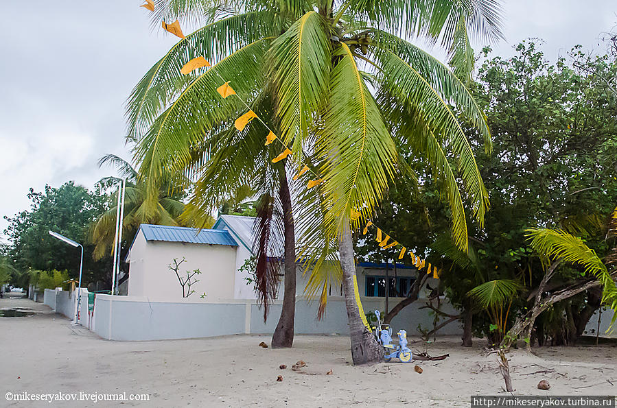 Мальдивы не для туристов. Остров Химандху Himandhoo, Мальдивские острова